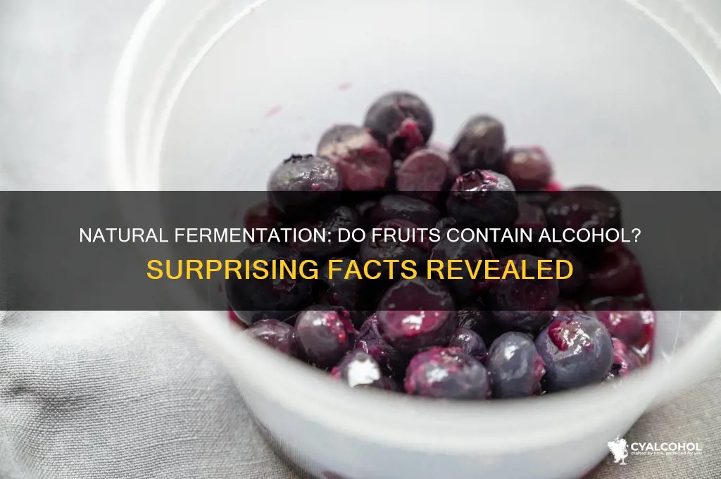 do fruits have alcohol in them