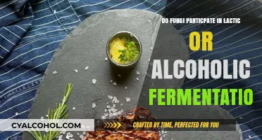 Fungi's Role in Fermentation: Lactic or Alcoholic Processes Explained