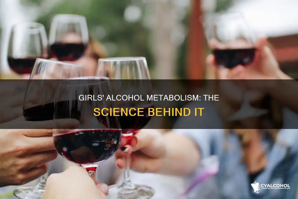 do girls have an inability to break down alcohol