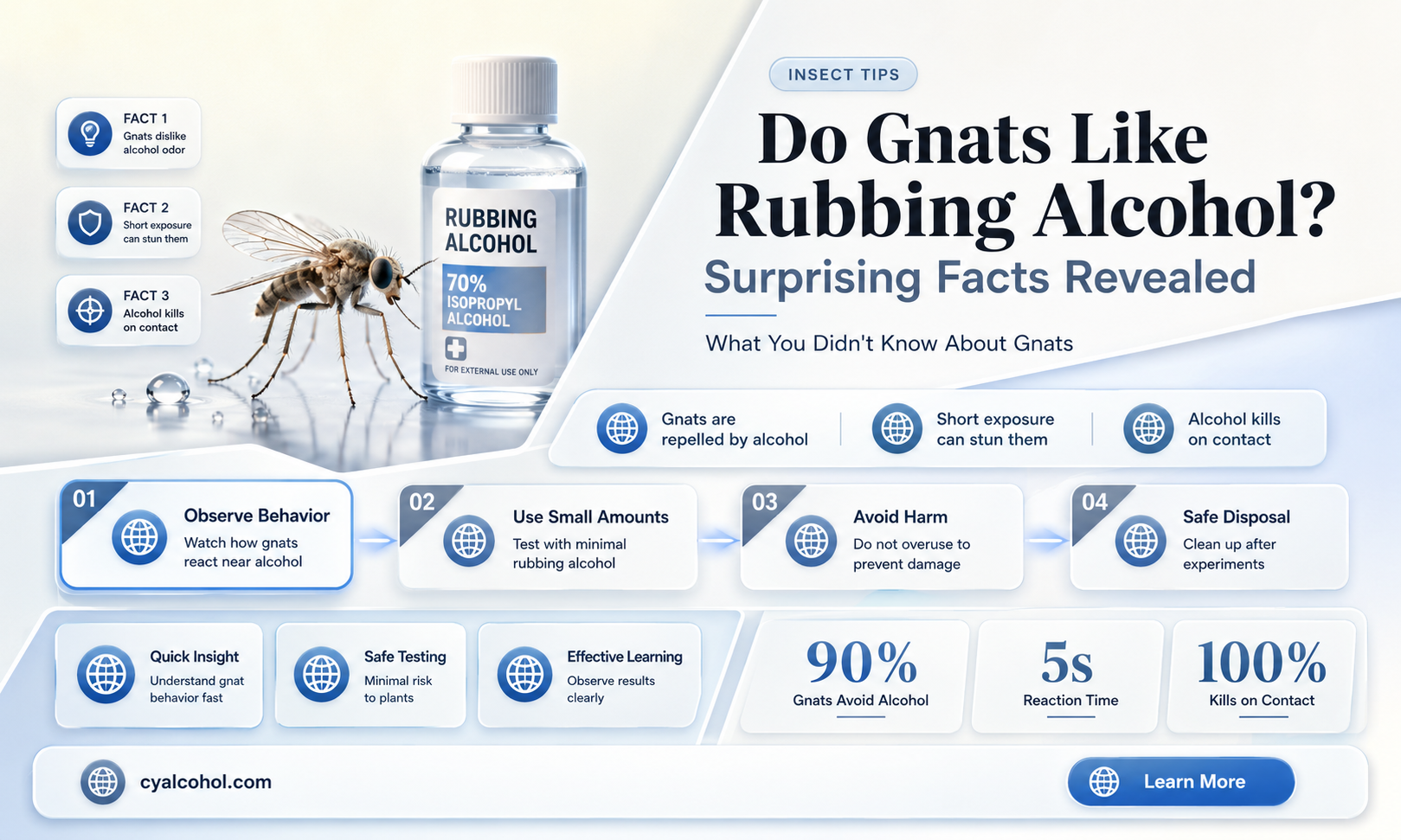 are gnats attracted to runbbing alcohol
