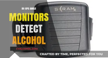 Can GPS Ankle Monitors Detect Alcohol Consumption? Facts and Myths