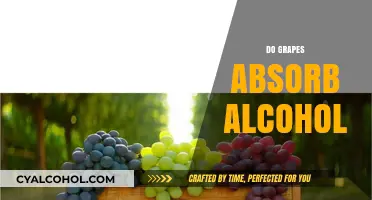 Do Grapes Absorb Alcohol? Unraveling the Myth and Science Behind It