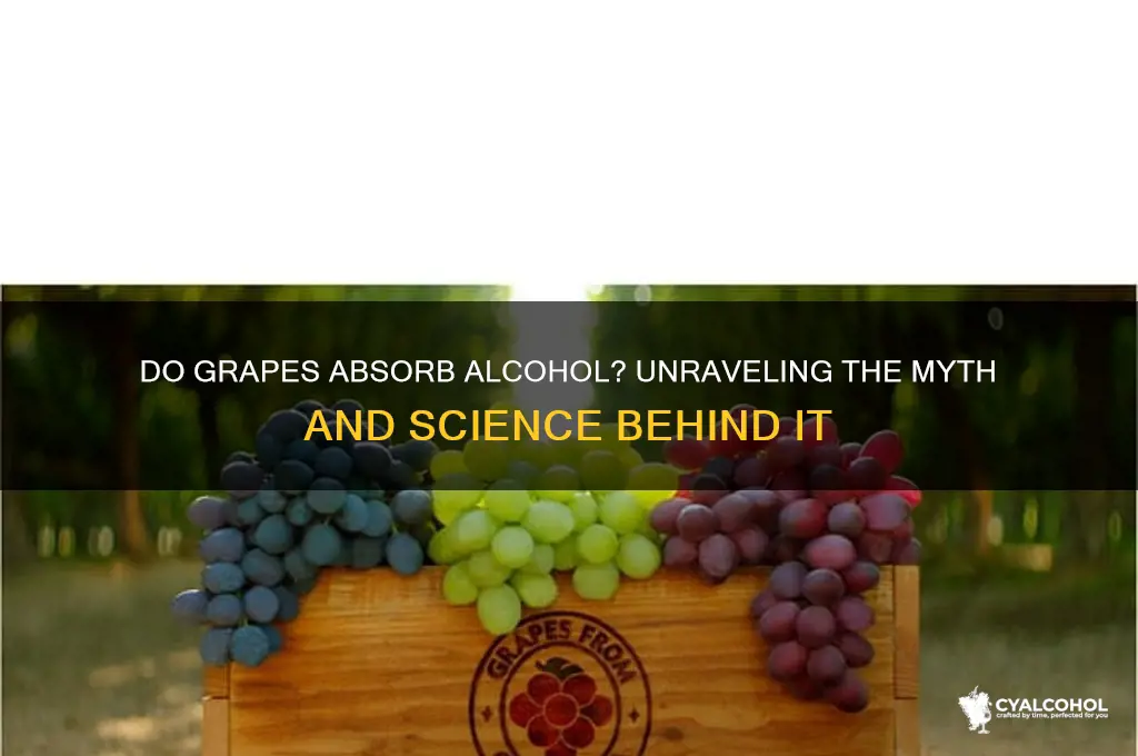 do grapes absorb alcohol