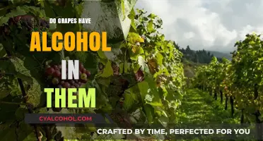 Do Grapes Naturally Contain Alcohol? Uncovering the Truth Behind the Myth