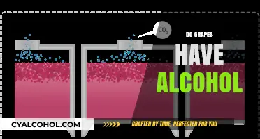 Do Grapes Naturally Contain Alcohol? Unraveling the Fermentation Mystery