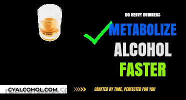 Heavy Drinkers and Alcohol Metabolism: Do They Process Faster?
