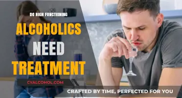 High-Functioning Alcoholics: Do They Really Need Treatment?