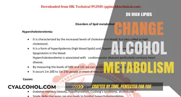 High Lipids' Impact on Alcohol Metabolism: What You Need to Know