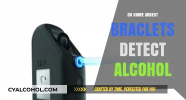 Do Home Arrest Bracelets Detect Alcohol? Facts and Myths Explained
