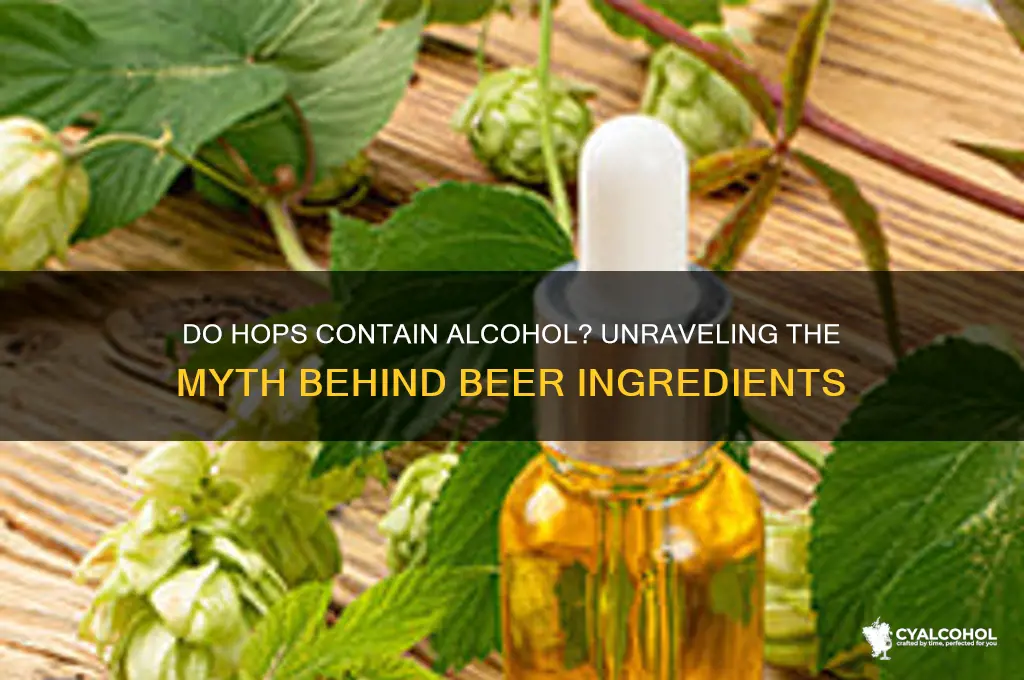 do hops have alcohol