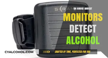 House Arrest Monitors and Alcohol Detection: What You Need to Know