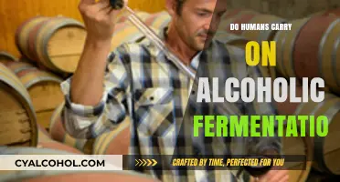 Can Humans Undergo Alcoholic Fermentation? Unraveling the Science Behind It