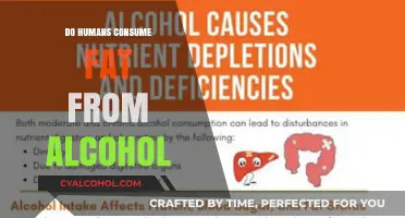 Does Alcohol Contribute to Fat Consumption in Human Diets?