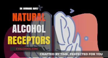 Exploring the Science: Do Humans Naturally Possess Alcohol Receptors?