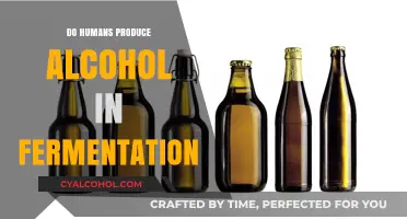 Can Humans Naturally Ferment Alcohol? Exploring the Science Behind It