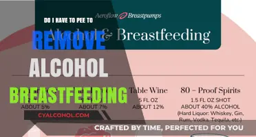 Breastfeeding and Alcohol: Do I Need to Pump and Dump?