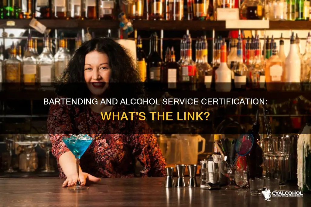 do i need a alcohol service certification to bartend