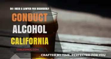 California Alcohol Offenses: When to Hire a Lawyer