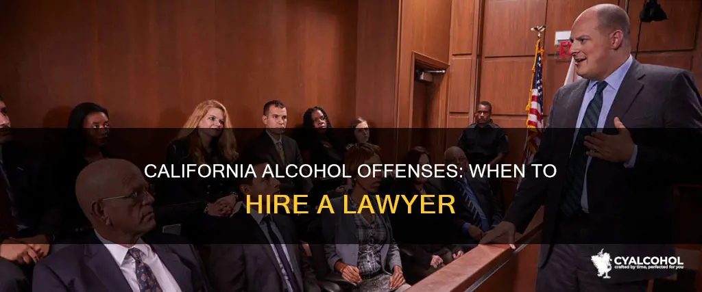 do i need a lawyer for disorderly conduct alcohol california