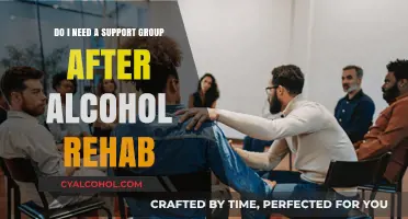 Support Groups: Necessary After Alcohol Rehab?
