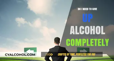 Moderation vs. Abstinence: Should You Quit Alcohol Completely?