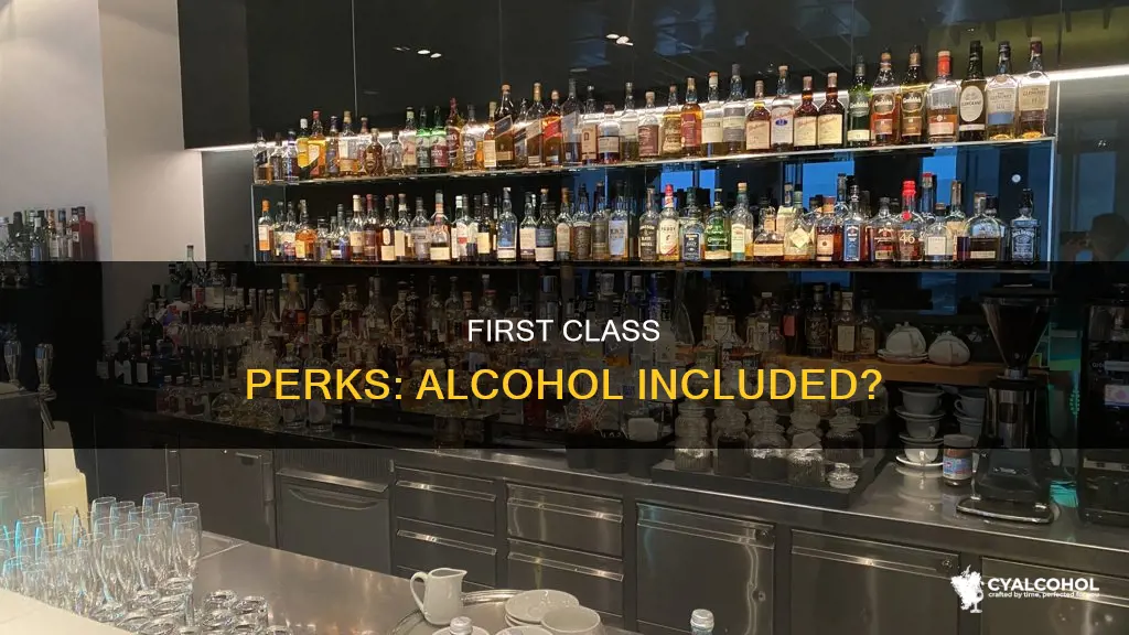 do i need to pay for alcohol in first class