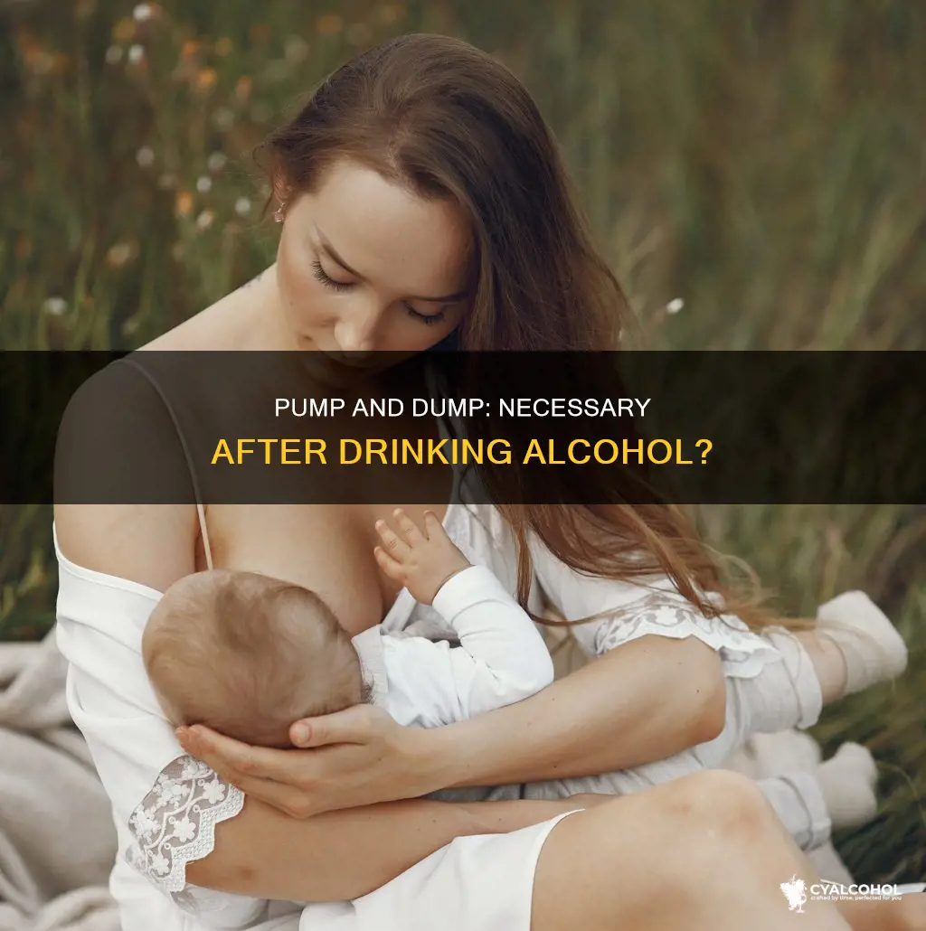 do i need to pump and dump after alcohol