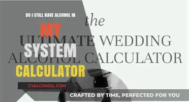 Alcohol Calculator: How Much Alcohol is Still in My System?