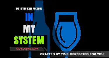How Long Does Alcohol Stay in Your System? A Complete Guide