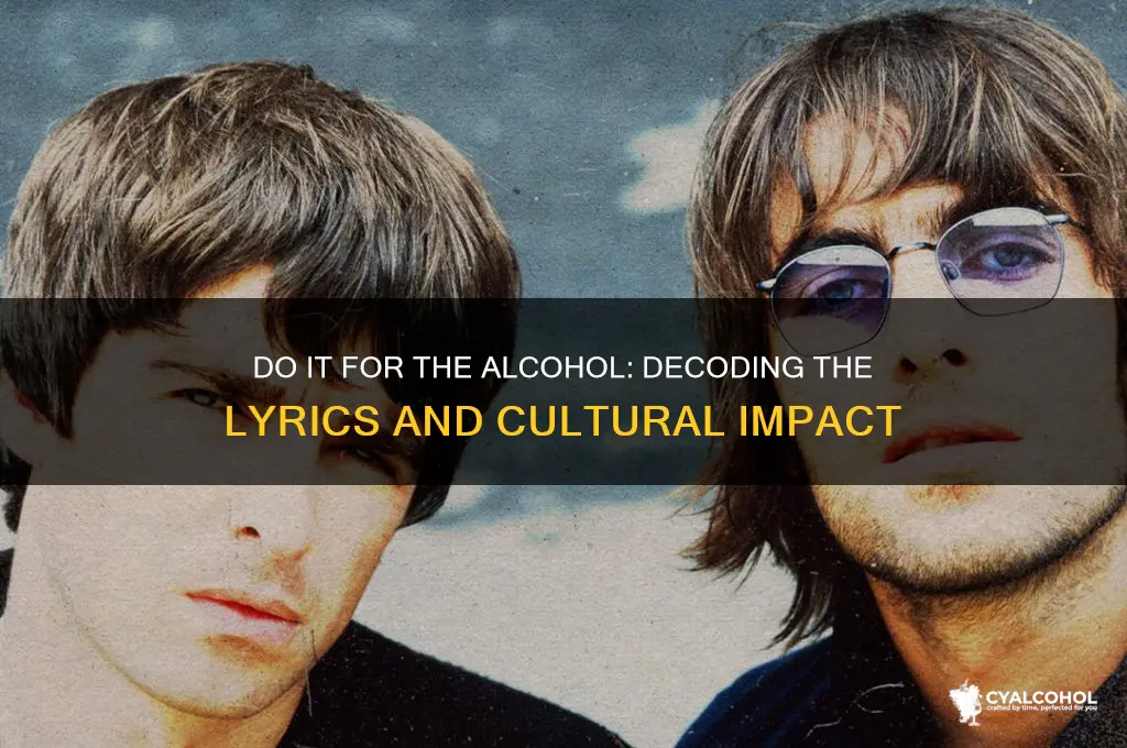 do it for the alcohol song