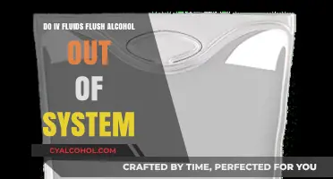 IV Fluids and Alcohol: Do They Speed Up Detoxification?