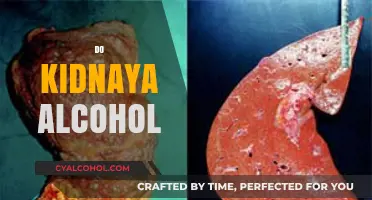 Kidney Health and Alcohol: Risks, Effects, and Safe Consumption Tips