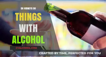 How Kidneys Process Alcohol: Functions, Risks, and Health Impacts