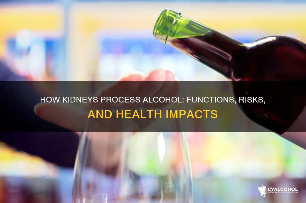 do kidneys do things with alcohol