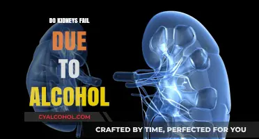 Can Alcohol Cause Kidney Failure? Understanding the Risks and Impact