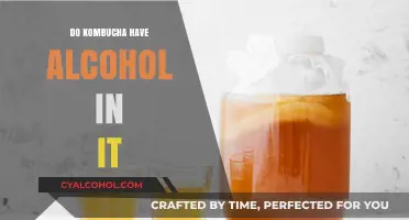 Does Kombucha Contain Alcohol? Uncovering the Truth About Your Fermented Drink