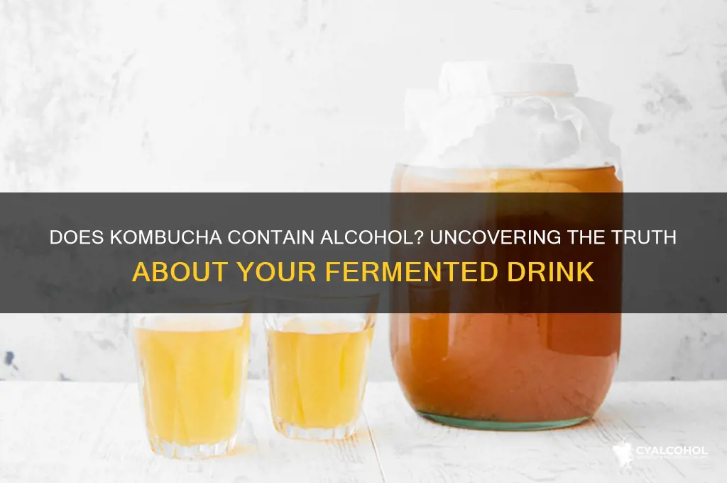do kombucha have alcohol in it