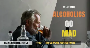 Late-Stage Alcoholism and Mental Health: Unraveling the Madness Myth