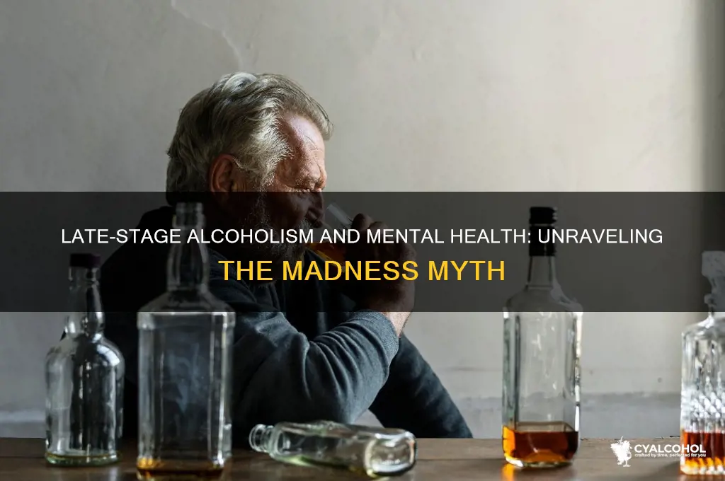 do late stage alcoholics go mad