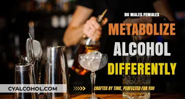 Gender and Alcohol Metabolism: How Males and Females Differ
