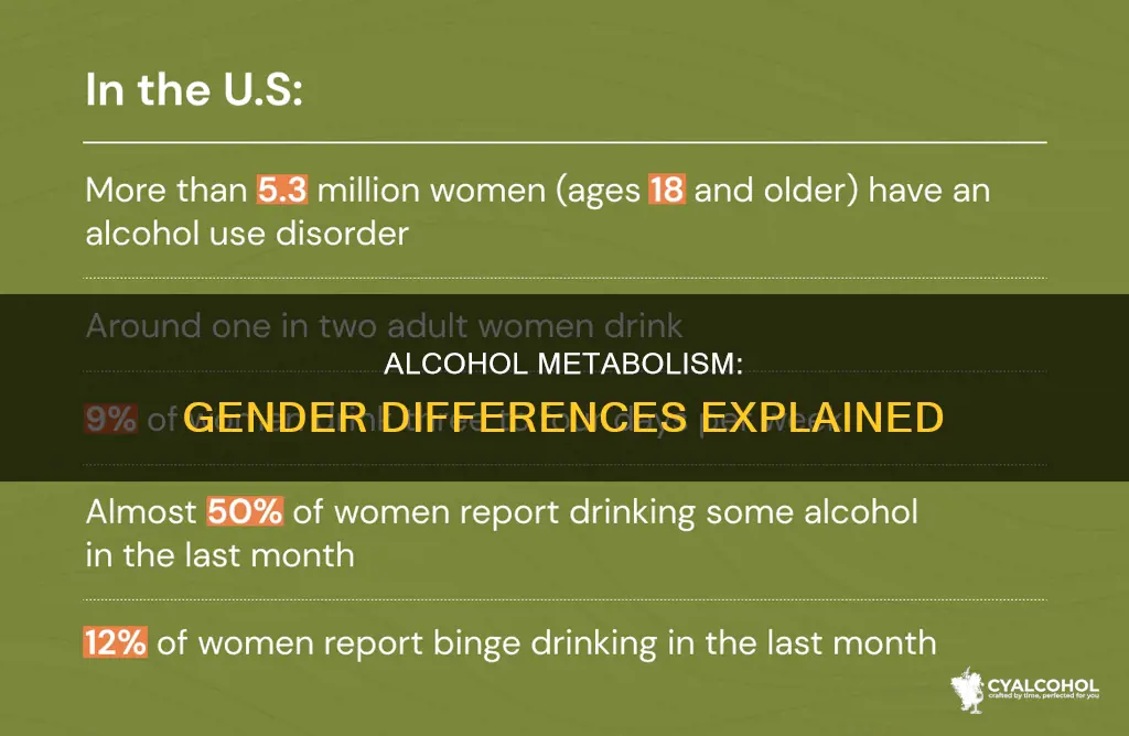 do men and women metabolize alcohol at the same rate
