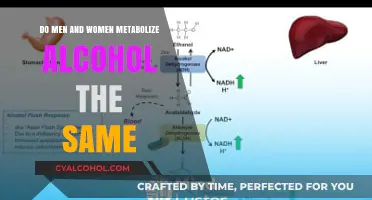 Gender Differences in Alcohol Metabolism: How Men and Women Process Alcohol