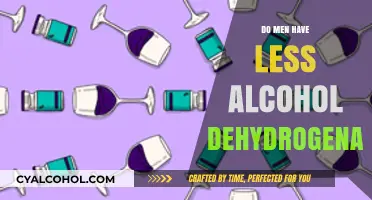 Do Men Have Less Alcohol Dehydrogenase? Exploring the Science Behind It