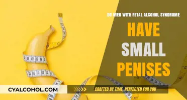 Fetal Alcohol Syndrome: Smaller Penises in Men?