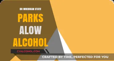 Alcohol in Michigan State Parks: Rules and Regulations Explained