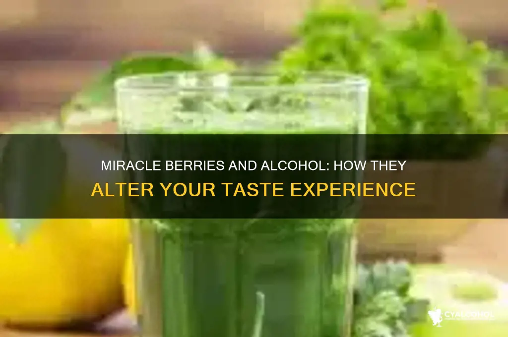 do miracle berries change the taste of alcohol