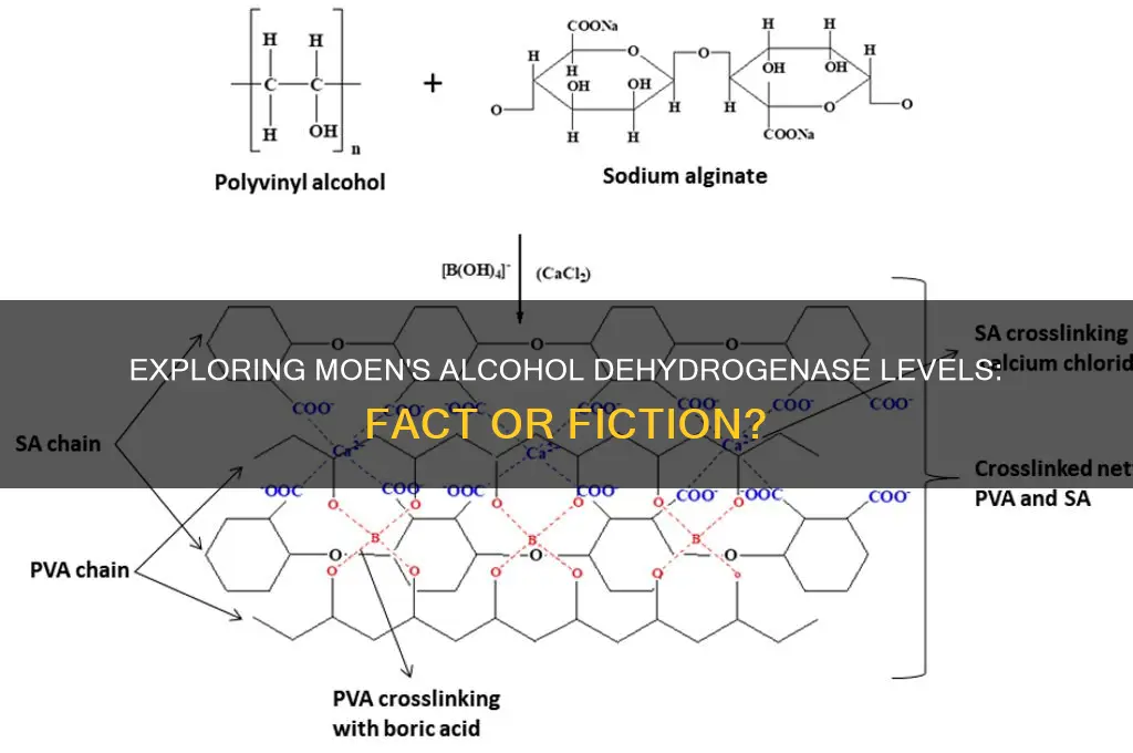 do moen have less alcohol dehydrogenase