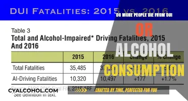 DUI vs Alcohol: Which Kills More?
