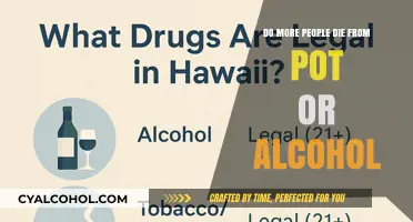 Pot vs. Alcohol: Which Substance Claims More Lives Annually?