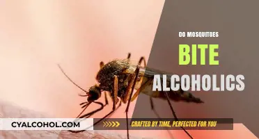 Mosquitoes and Alcohol: Do They Bite Drinkers More Often?